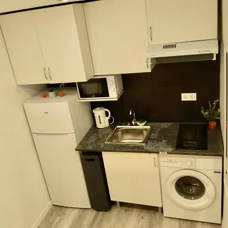 Loft Apartment *
